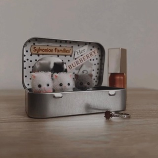 Шкатулка с сильваничами