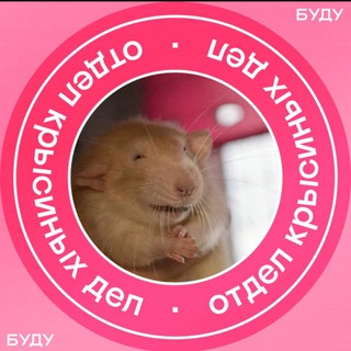 HR | Кофе и вакансии