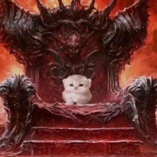 Дрочильня тимлита