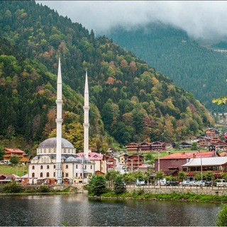 Записи студента