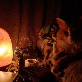 🕯️LANA'S LIGHT🕯️