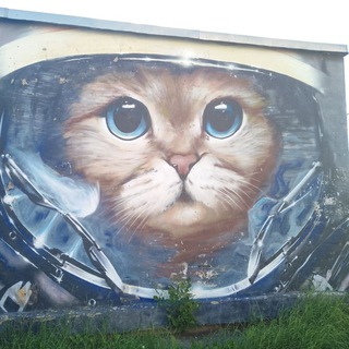 Тако Тьюсдей