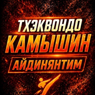 Тхэквондо Камышин | АЙДИНЯНТИМ