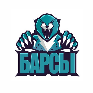 СПОРТИВНЫЙ КЛУБ БАРСЫ