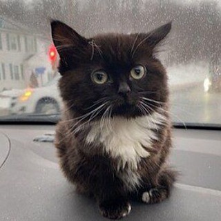 Бадридинов не такой Бадридинов