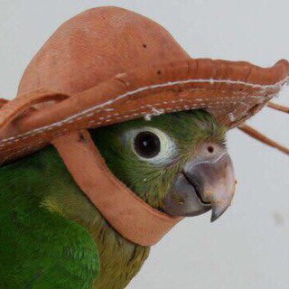 Рассказы и всякое