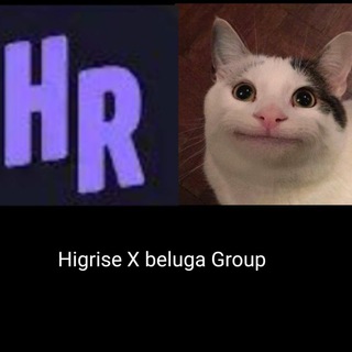 Белуга ( x highrise) Content