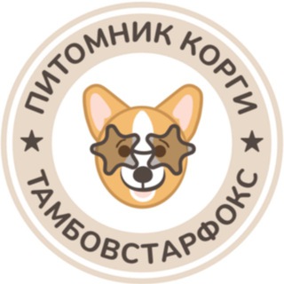 Мир корги питомника Тамбовстарфокс