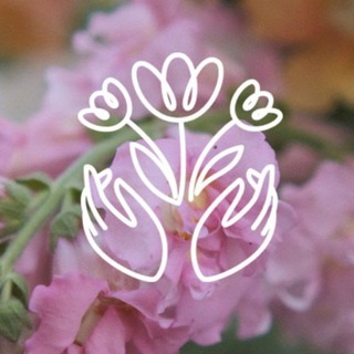 Куда приводят цветы