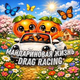 Мандариновая Жизнь🍊