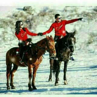 D҉O҉S҉T҉L҉A҉R҉ B҉I҉L҉A҉N҉ T҉A҉N҉I҉S҉H҉U҉V