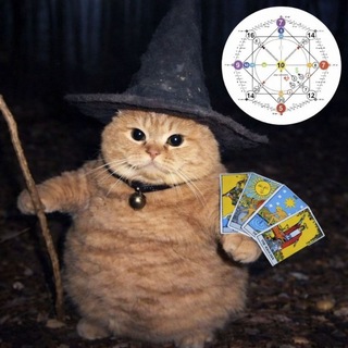 Tanya PSY | Будни искателя