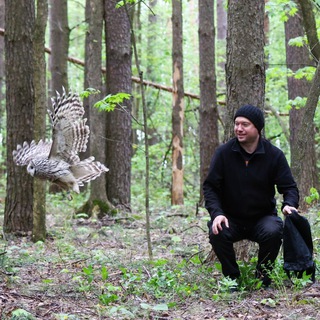 Тапки орнитолога