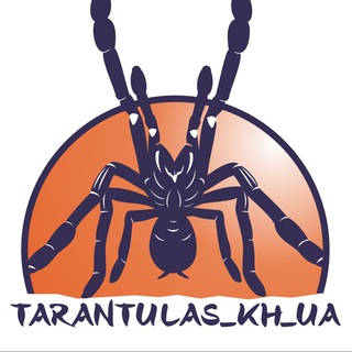Интересности о пауках (tarantulas_kh_ua)