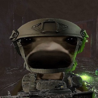 Свежие Новости в Торчке