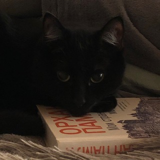 совет дня | taroadvice