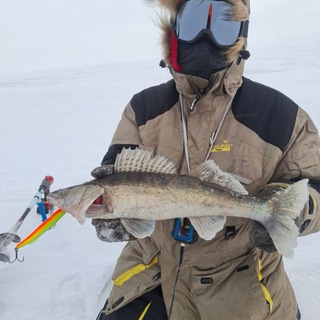 Пиратский совет трудящихся
