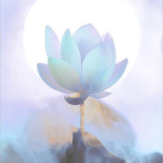 Таша | Нумеролог. Путь к себе✨