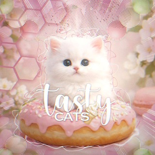 🍡𝒕𝒂𝒔𝒕𝒚 𝒇𝒂𝒎𝒊𝒍𝒚🧋ᵒᶠᶠ