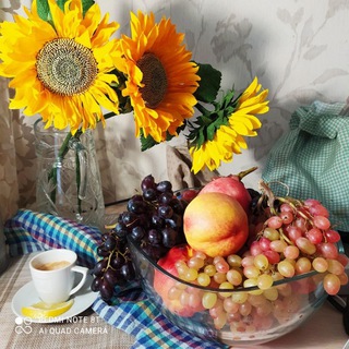 Всем обо всём...