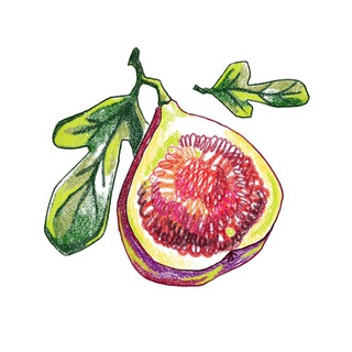 Отодвинься Тату СПБ