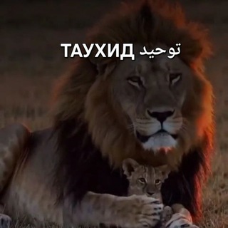 ТАУХИД توحيد