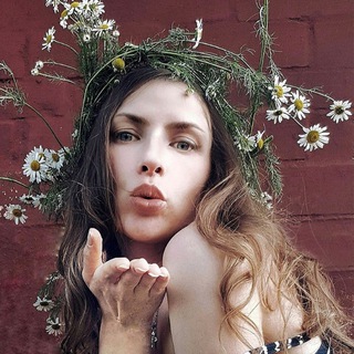 Таволга на травах