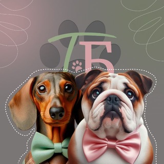 Такс и Бакс