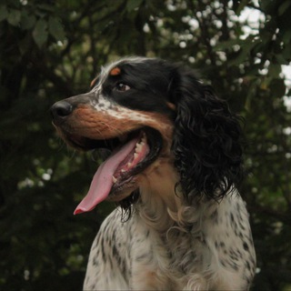 тайлер, но не дерден