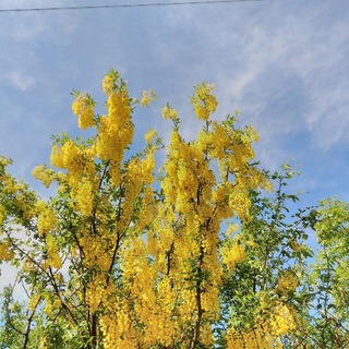 Наташа в Тбилиси