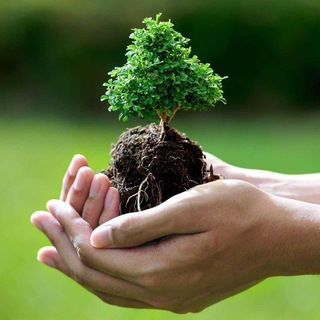 Дневник цветовода 🌸 про комнатные и садовые растения