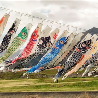 Чайный алкаш 🍵