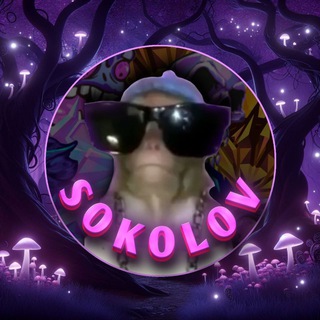 детишки Соколова