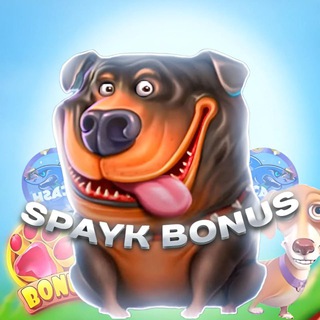 Спайк промо