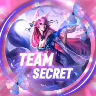 𝙏𝙀𝘼𝙈 𝙎𝙀𝘾𝙍𝙀𝙏