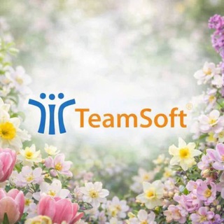 ТимСофт тренинги | Казань