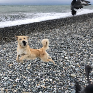 Слёзки ИТ рекрутера