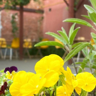 Театральный Петербург & Кино