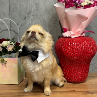 Тебе пора в отпуск !