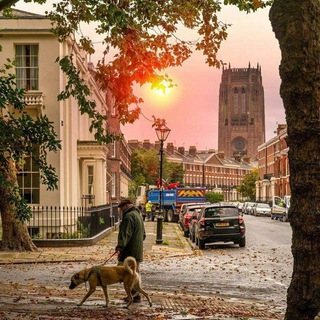 🖥 Tekin reklama | ⚪PR