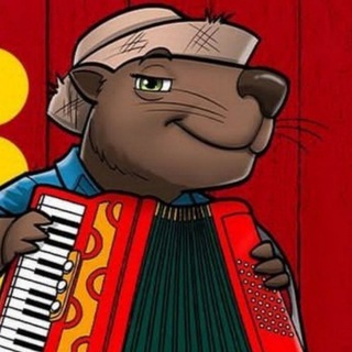 Tem vida inteligente em itabuna?