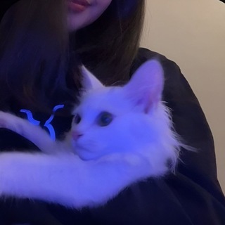 ⊱ темки | стикеры viskas ⊰