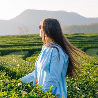 Ten Teas | Китайский чай в Дананге 🇻🇳