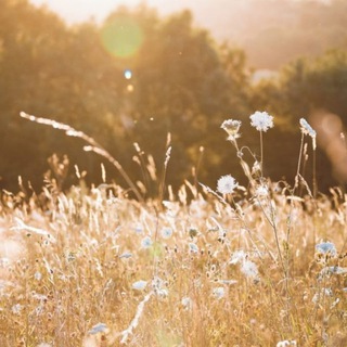 Тепло l реабилитация кптср