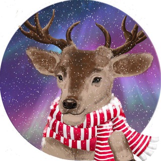 Териберка Подслушано