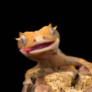 🦂Жизнь под стеклом🐞