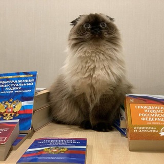 Территория 03 ПРАВА