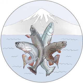 Территория науки