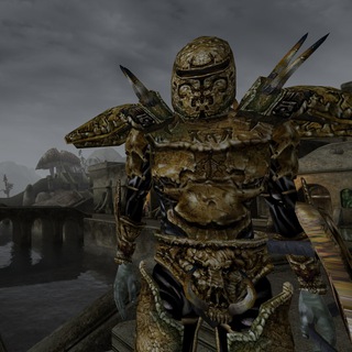 The Elder Scrolls aesthetics