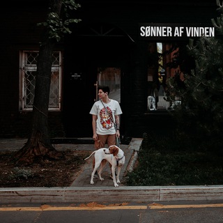 Tevtara | Массаж собак